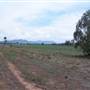 Baradine to Coonabarabran road
