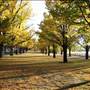 Armidale Area