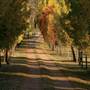 Armidale Area
