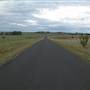 Armidale Area