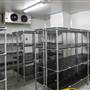 Sydney Showground - Amenities