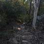 Bardens Lookout