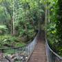Minnamurra Rainforest Walk