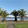 Lake Illawarra North-King St Foreshore & Bob Grabham Jetty