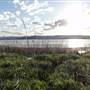 Lake Illawarra North-Purry Burry Avenue