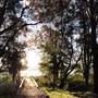 Lake Illawarra North-Purry Burry Avenue