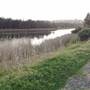 Lake Illawarra North-Budjong Creek Wetland