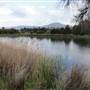 Lake Illawarra North-Budjong Creek Wetland