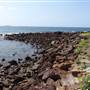 Shellharbour 2