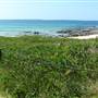 Shellharbour - The Shallows Coastal Reserve