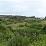 Bombo