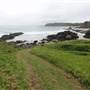 Bombo