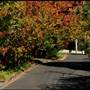 American style - houses & streets