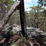 Ted Horwood Reserve