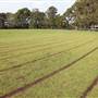 Waratah Athletics Track