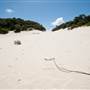 Fingal Spit