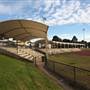 The Crest of Bankstown Sport Facilities