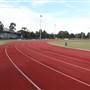 The Crest of Bankstown Sport Facilities