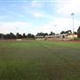 The Crest of Bankstown Sport Facilities