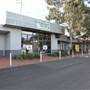 The Crest of Bankstown Sport Facilities
