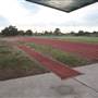 Sylvania Waters Athletic Track
