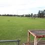 Janice Crosio Oval