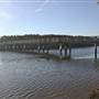 Ash Island Bridge