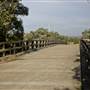 Ash Island Bridge