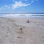 Brunswick Heads - Lifeguard Towers/Beach