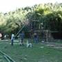 Private Properties - Bamboo, Jungle, Exotic, Forest