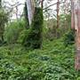 Bradley Reserve