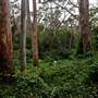 Bradley Reserve