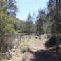 Bushland Creek