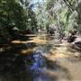 Bushland Creek