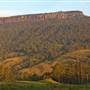 Kangaroo valley