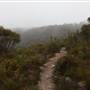 Mt Banks