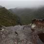Mt Banks