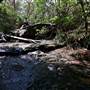 Warraroon Reserve