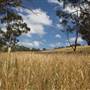 Coxs River - Glenroy Cabins and Camp Ground