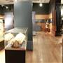 Nicholson Museum - The University of Sydney