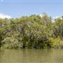Georges River