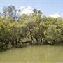 Georges River