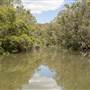 Georges River