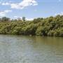 Georges River