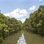 Georges River