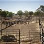 Coonamble