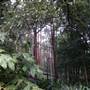 Private Horse Farm - Otford