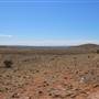 Broken Hill Sculptures Site and Living Desert