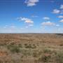 Broken Hill Sculptures Site and Living Desert