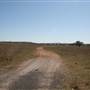 Mudgee